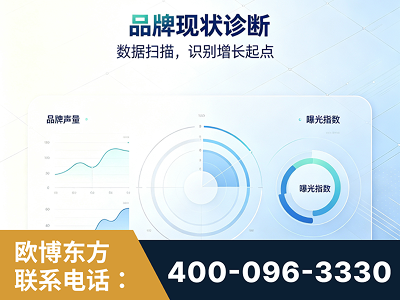 博尔塔拉蒙古-品牌现状诊断